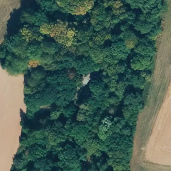 Verlaten Boerderij